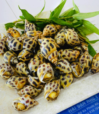 LỜI CẢM ƠN