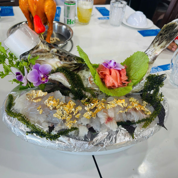 CÁ MÚ SASHIMI